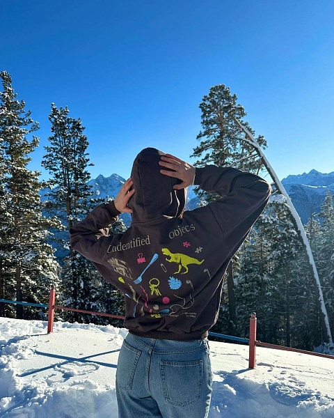 На сайт Худи Dogtor